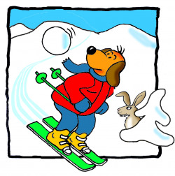 Instruktor lyžování/ Instruktor snowboardingu 